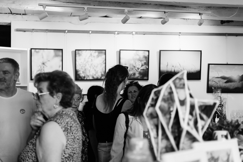 Photographe-cecile-plessis-vernissage-bell-galerie-atelier-harmonie-fragile-01 exposition harmonie fragile bell galerie atelier