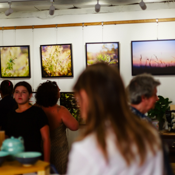 exposition harmonie fragile bell galerie atelier